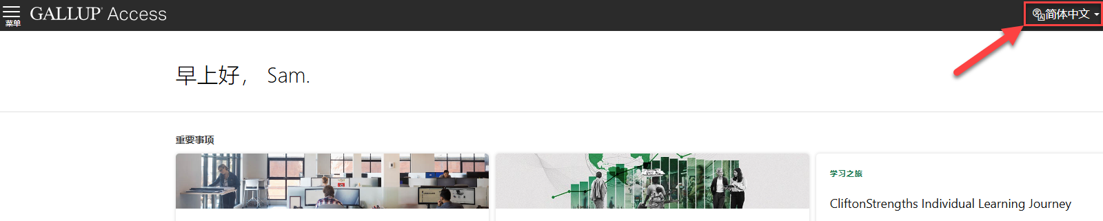 Gallup Access 帐户中的语言下拉菜单