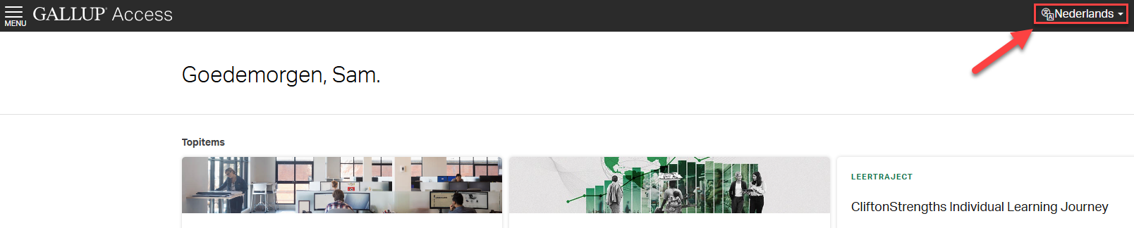 Taalkeuzemenu in een Gallup Access-account