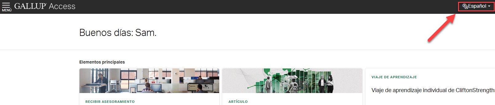 Menú desplegable de idioma en una cuenta de Gallup Access